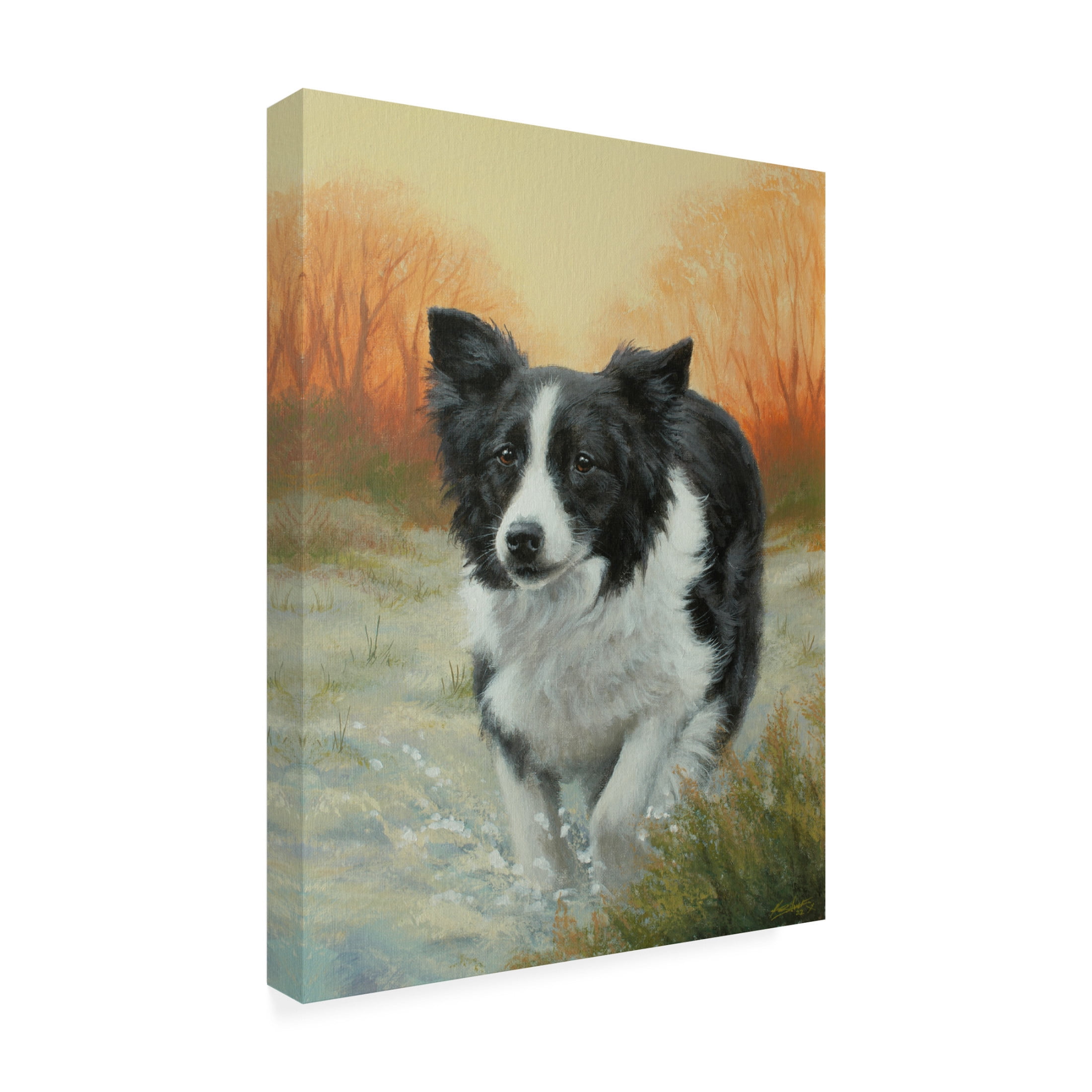 Canvas Wall Art - John Silver 'Border Collie in Winter Landscape' Wall Art for Living Room, Bedroom, or Office Décor by Trademark Fine Art - 18 x 24 Inches