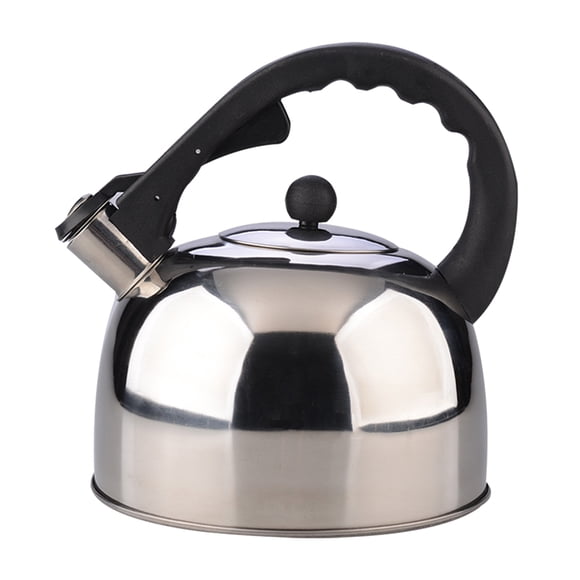 EeaseMX Hervidor de agua de acero inoxidable de 3 l con sonda, calentador de agua para sopa caliente, café, vajilla para el hogar y la oficina