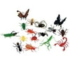 Insect Lore™ Big Bunch O' Bugs