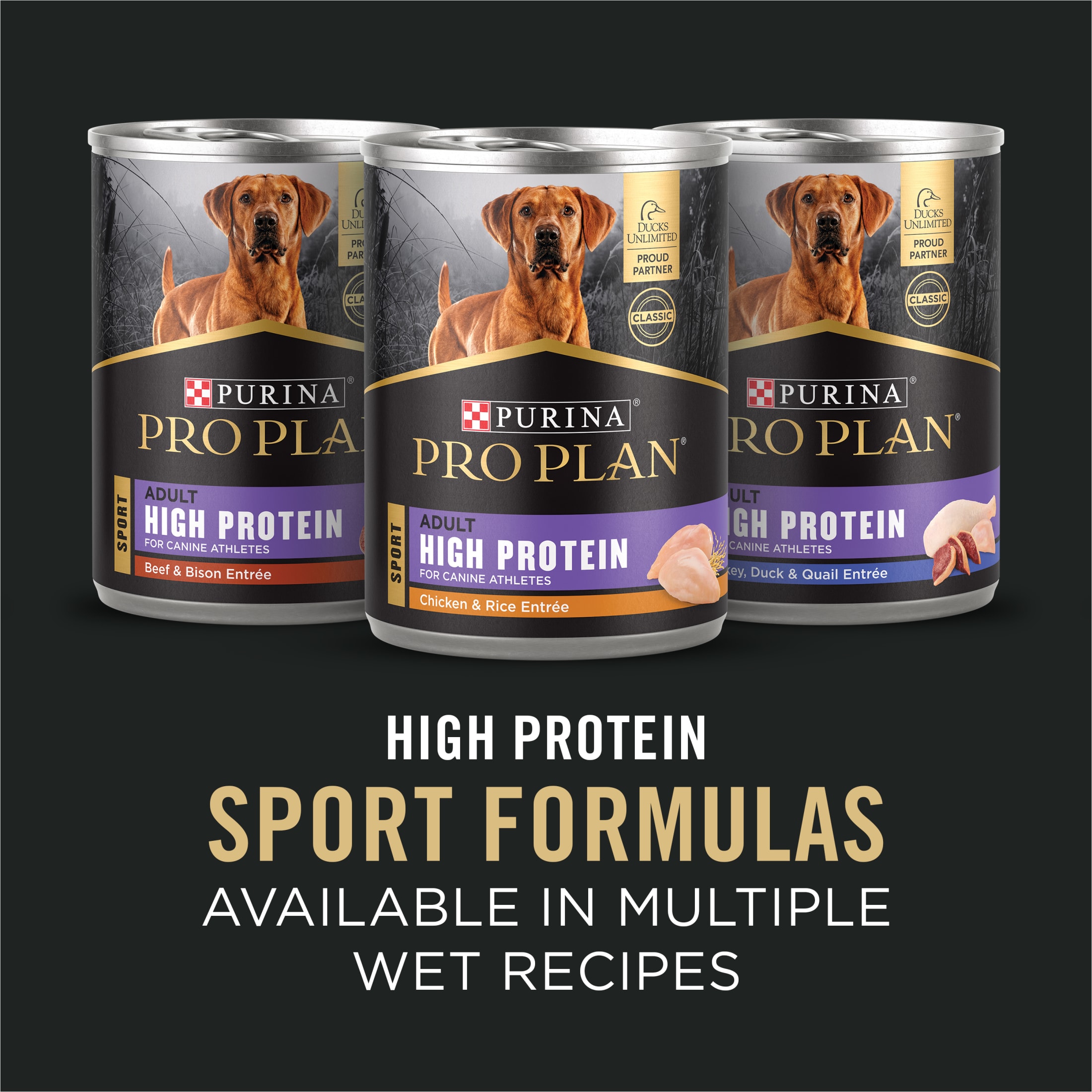 Purina Pro Plan Sport 30/20 Salmon & Rice Dog Food, 6 lb photo 8