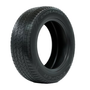 Cooper Endeavor Plus All Season 255/65R18 111H Passenger Tire Fits: 2020-23 Ford Explorer XLT Sansujyuku sansujyuku.com