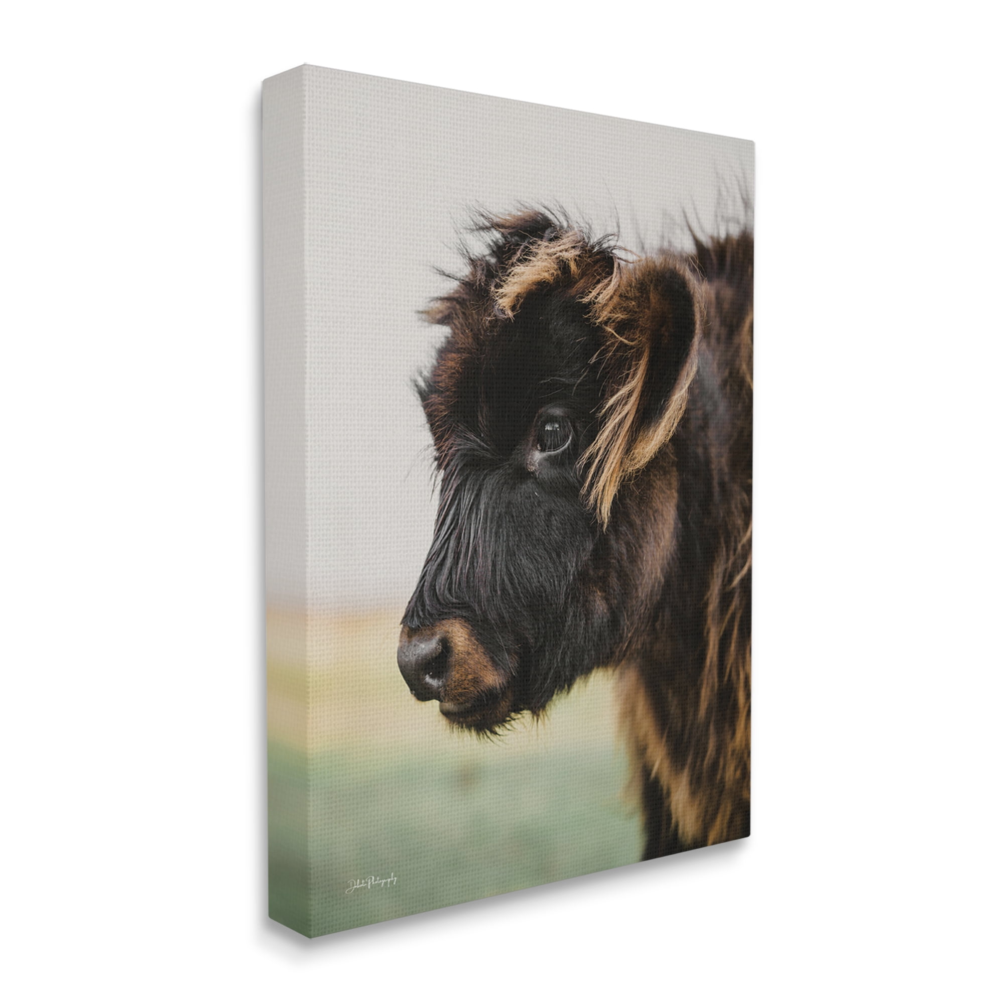 Stupell Industries Baby Cow Photography Animals & Insects Photography Gallery Wrapped Canvas Print Wall Art, 30 x 40