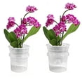 thumbnail image 5 of SharkTRUE Clear Orchid Pot,Plastic Plant Pots with Drainage Hole and Tray,Breathable Flower Plant Pot,Nursery Container for Root Growth, Seedling, and Indoor Houseplant Gardening, 5 of 10