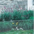 thumbnail image 2 of Tenax 2 ft. H x 25 ft. L 20 Ga. Green Poultry Fence, 2 of 8
