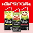 thumbnail image 2 of 2 Pack Minute Maid Apple Juice 100% Juice 6 oz Boxes, 2 of 5