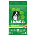 thumbnail image 1 of Iams Minichunks Adult Dry Dog Food Chicken & Whole Grains Recipe, 1 of 17