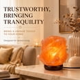thumbnail image 4 of Himalayan Salt Lamp with Wood Base, Rose Night Light, Natural Crystal Decorative Mood Lighting, Aesthetic Home Decor for Bedroom & Office Desk, 4 of 9
