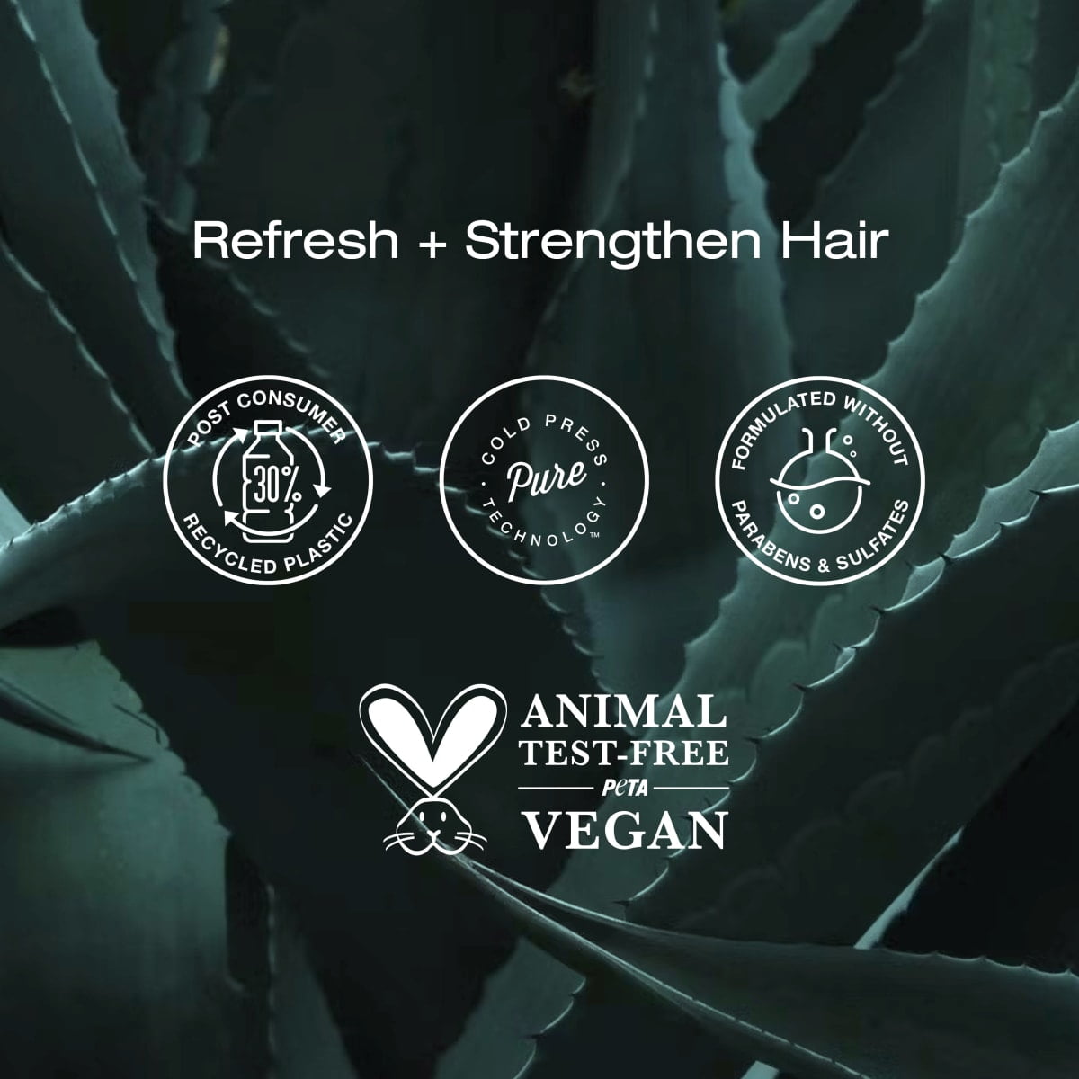 Raw Sugar Men's 2-in-1 Tea Tree + Coconut + Aloe Strengthen Shampoo & Conditioner, 18 fl oz