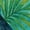Natural, variant on Tropical Toucan and Hibiscus Art Men's T-shirt