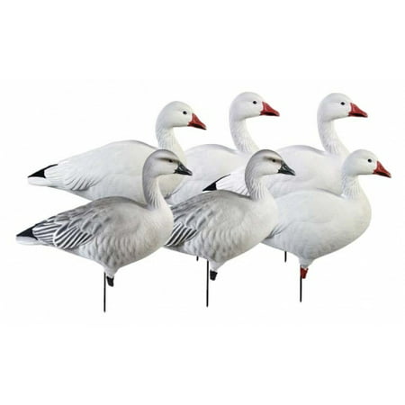 Greenhead Gear Pro-Grade Goose Decoy,Full Body Snows/Active Pack,1/2 (Best Full Body Snow Goose Decoys)