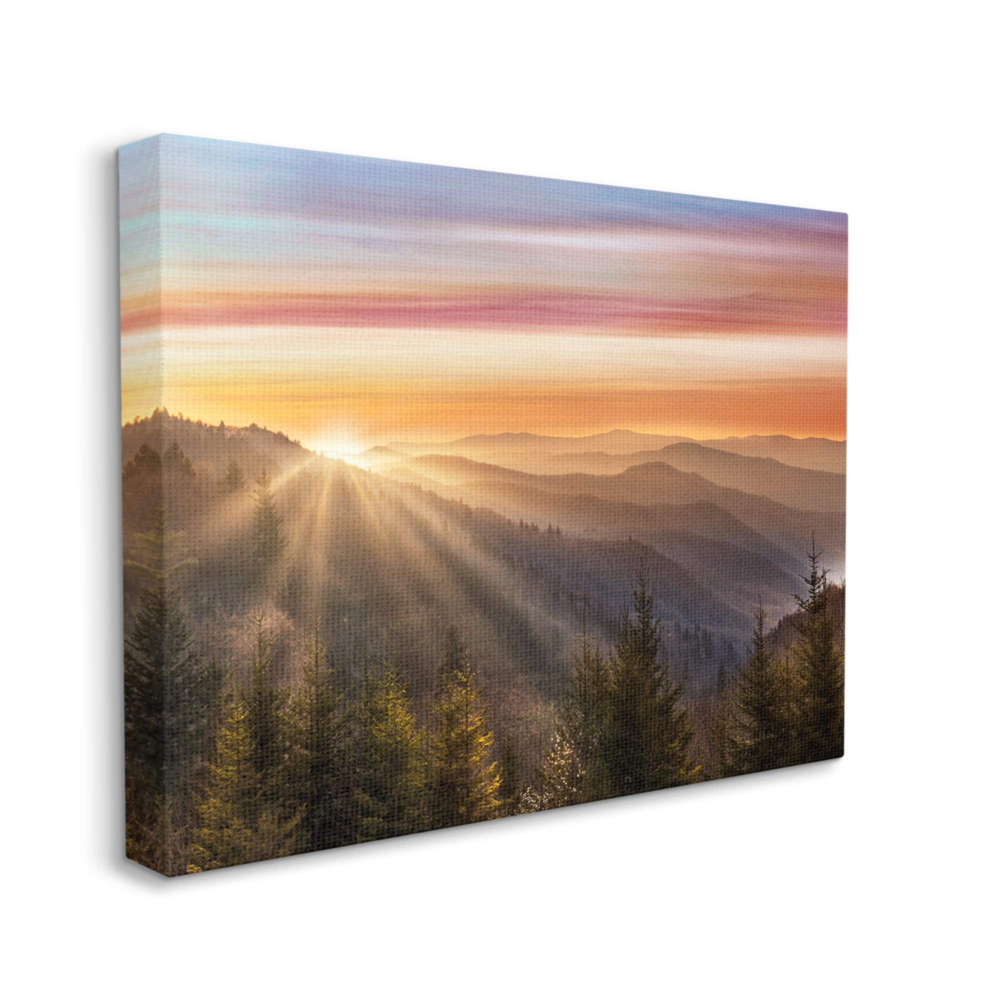 Sunrise Through Mountain Forest Skyline Canvas Art, 48 x 36, Design By Artist Danita Delimont