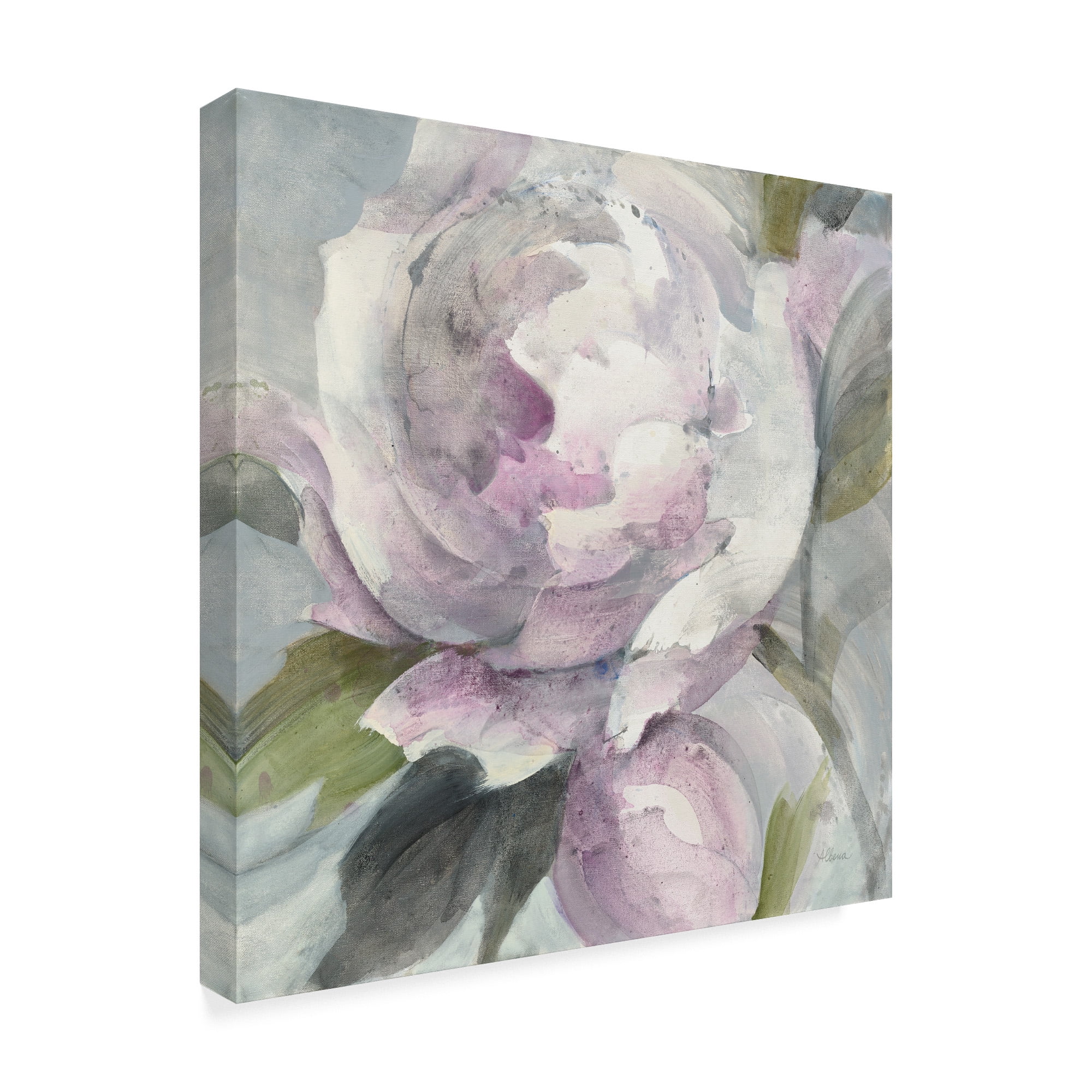 Trademark Fine Art 'Twilight Peony' Canvas Art by Albena Hristova