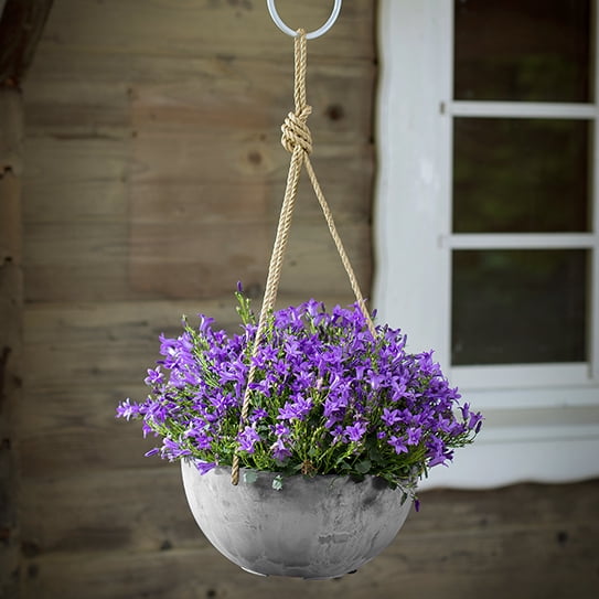 Root & Vessel Napa Hanging Bowl Planter, Gray, 10"