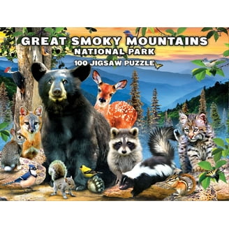 MasterPieces 100 Piece Jigsaw Puzzle - Rocky Mountain National