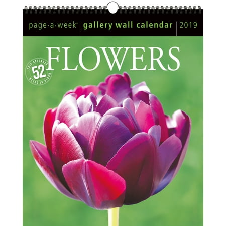 Flowers 2010 Wall Calendar - Flowers Page-A-Week Gallery Wall Calendar 2019