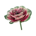 thumbnail image 2 of Lunxisen 1 Pcs Artificial Cabbage Realistic Food Props Decorative Botanical For Home Decor Wedding Kitchen Display, 2 of 8