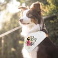 thumbnail image 3 of Big Sister Pregnancy Announcement Dog Bandana, Gender Reveal Photo Prop Pet Scarf Decorations Accessories, Pet Scarves Dog Lovers Owner Gift, 3 of 3