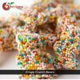 thumbnail image 2 of NY SPICE SHOP Crispy Crunchy Gummy Bears - 08 Ounce - Crispy Crunchy Bears - Rainbow Gummy Bears, 2 of 5