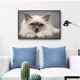 thumbnail image 5 of Cuadros Decorativos 5D diamante bordado Birman gato mosaico redondo diamante pintura para arte de cuentas JShteea Nuevos Originales, 5 of 9