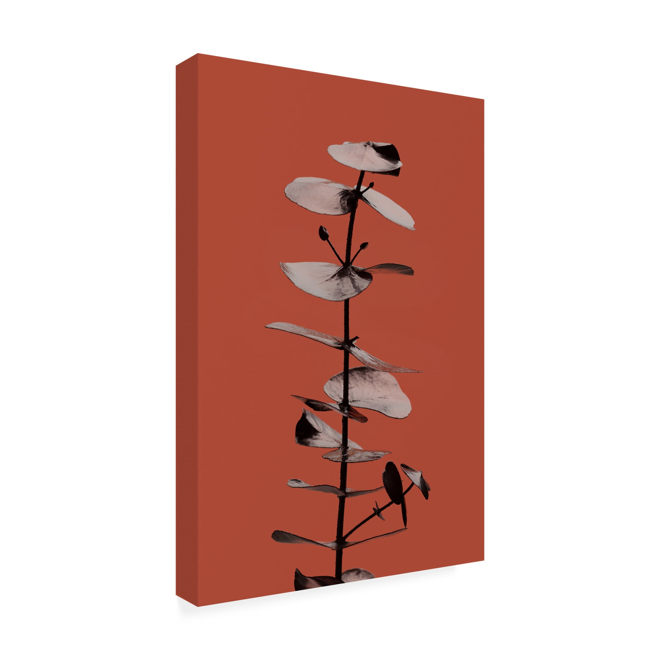 Canvas Wall Art - Pictufy Studio Iii 'Eucalyptus Rust 02' Wall Art for Living Room, Bedroom, or Office D?cor by Trademark Fine Art - 16 x 24 Inches