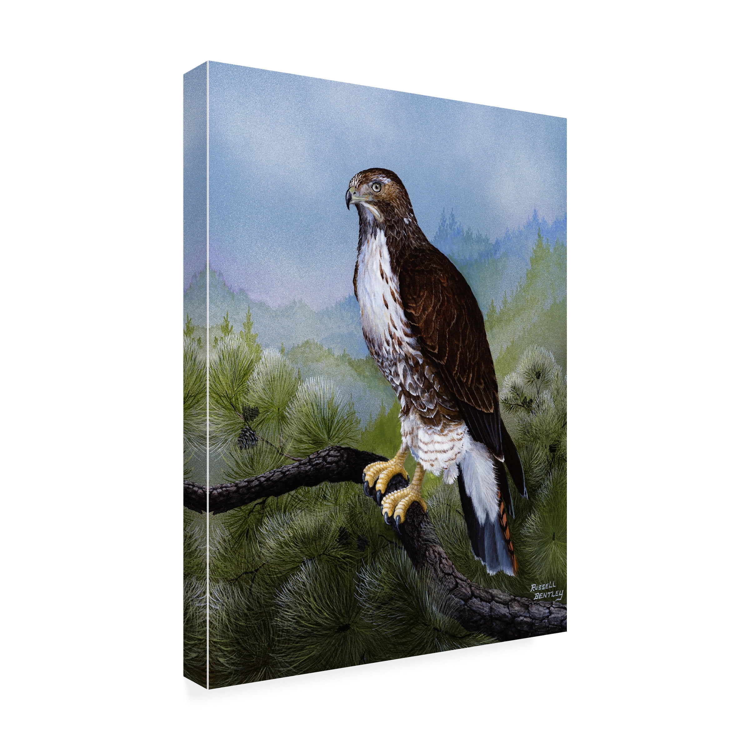 Russell Bentley 'Above and Beyond' Canvas Art