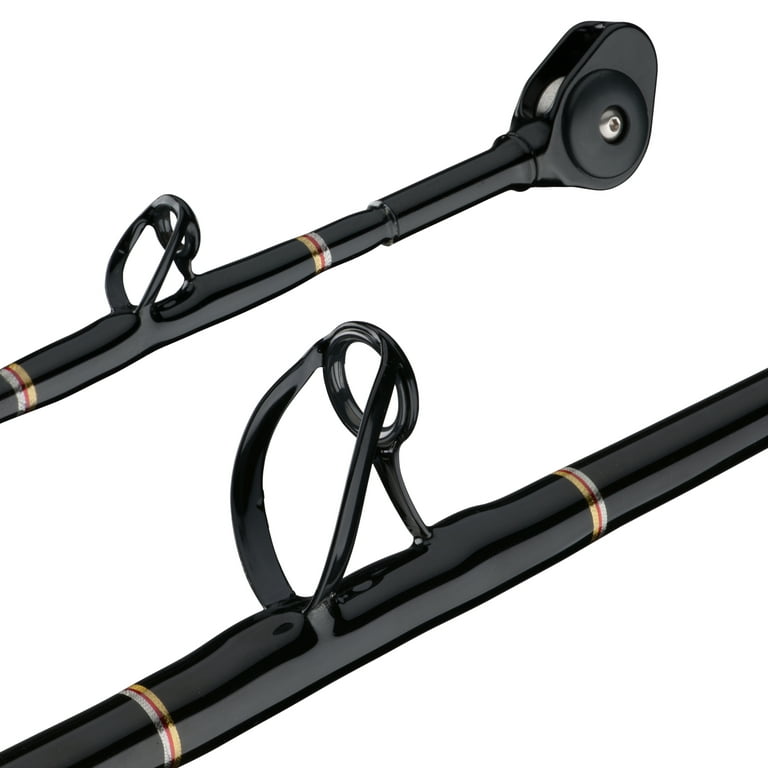 PENN International VI Casting Fishing Rod 