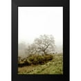 thumbnail image 2 of Blaustein, Alan 11x14 Black Modern Framed Museum Art Print Titled - Oak Tree - 43, 2 of 5