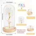 thumbnail image 2 of Rosa de La Bella y La Bestia JanHm Rosa Eterna Galaxia Con Luz LED, 2 of 5