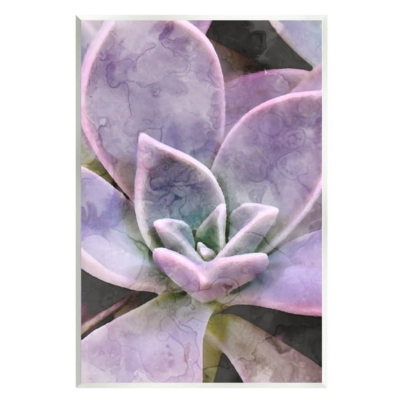 Purple Succulent Close Up Botanical & Floral Graphic Art Unframed Art Print Wall Art