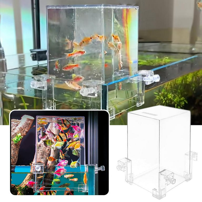 Pekkaxy Acrylic Fish Tank Tower, 4.8 x 5.2 x 7.5 inches, Creates a