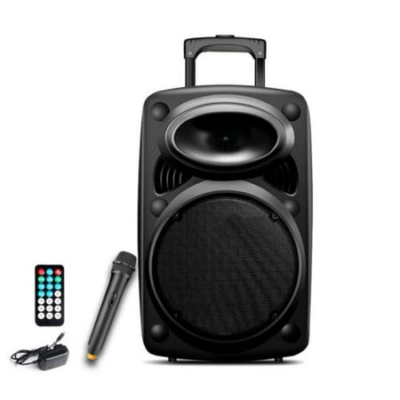 1500W 12 inch Pro Series Speaker DJ PA System Bluetooth USB Remote