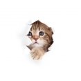 thumbnail image 2 of Little Cat Looking up Wall Decal by Wallmonkeys Peel and Stick Graphic (18 in H x 13 in W) WM182981, 2 of 4