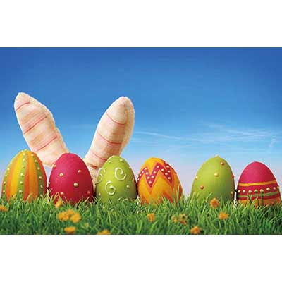 Easter Day Photography Background Wood Wall Tulip Photocall Backdrop Baby Photo Studio Photoz Accessories