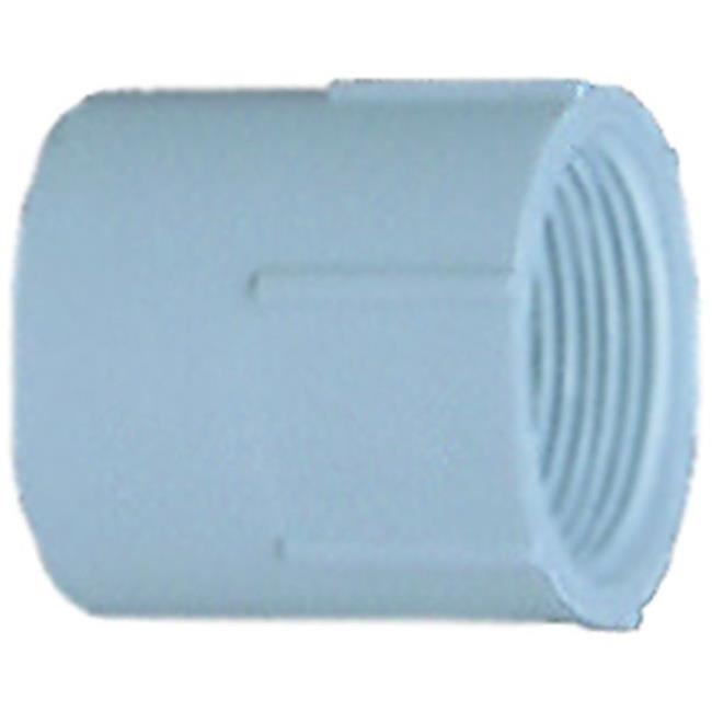 Nibco F01550D 1 in. Slip x NPT Female 435 Series PVC Pipe Fitting