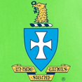 thumbnail image 3 of CafePress - Sigma Chi Coat Of Arms Colored T Shirt - Light T-Shirt - CP, 3 of 4