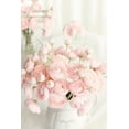 thumbnail image 5 of Ranunculus Artificial Flowers 18 Pcs Champagne Faux Silk Mini Ranunculus Bulk Fake Wedding Filler Flowers for DIY Cream Bouquets, Centerpieces, Bridal Shower Decorations & Arrangements, 5 of 5