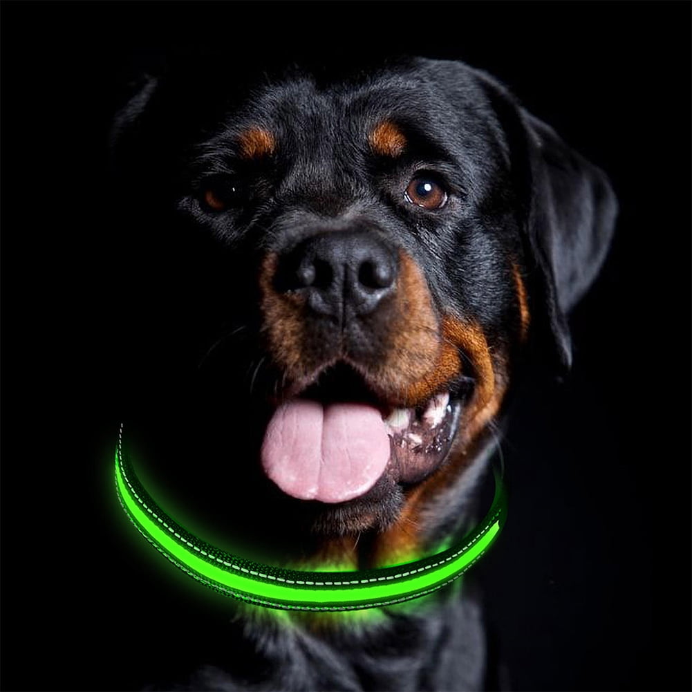 Kadyn LED Light Up Dog Collar, Dog Collar, Glowing Night Walking Light Dog Collar for Pet Night Walking – Rechargeable Dog Necklace– Weatherproof Puppy Collar, L Red Kadyn LED Light Up Dog Collar, Dog Collar, Glowing Night Walking Light Dog Collar for Pet Night Walking – Rechargeable Dog Necklace– Weatherproof Puppy Collar, L Red