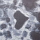 thumbnail image 5 of Muñeco de peluche suave con forma de foca del océano de ZTGD, juguete para silla, sofá, decoración, 5 of 7