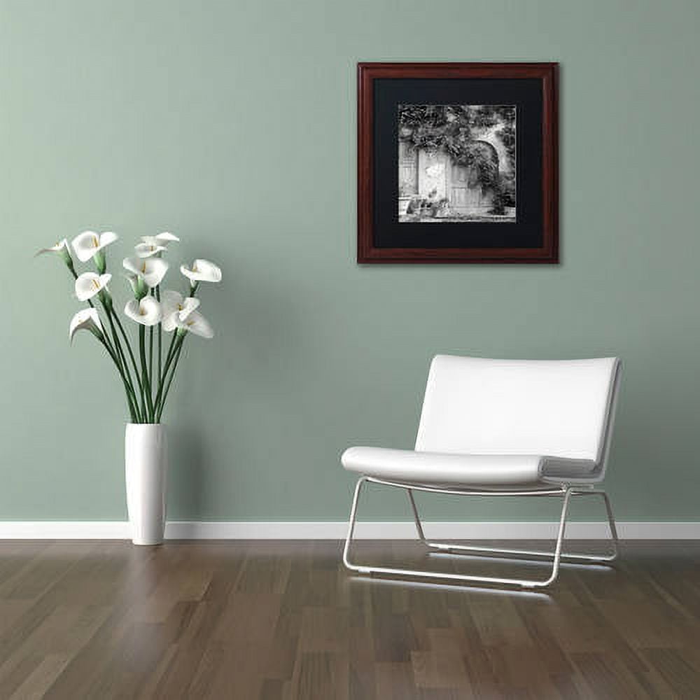 Trademark Fine Art "Tuscany VI" Canvas Art by Alan Blaustein, Black Matte, Wood Frame