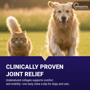 Vetoquinol Flexadin Advanced Hip and Joint Supplement with UC-II Collagen for Dogs and Cats, 60 Chews