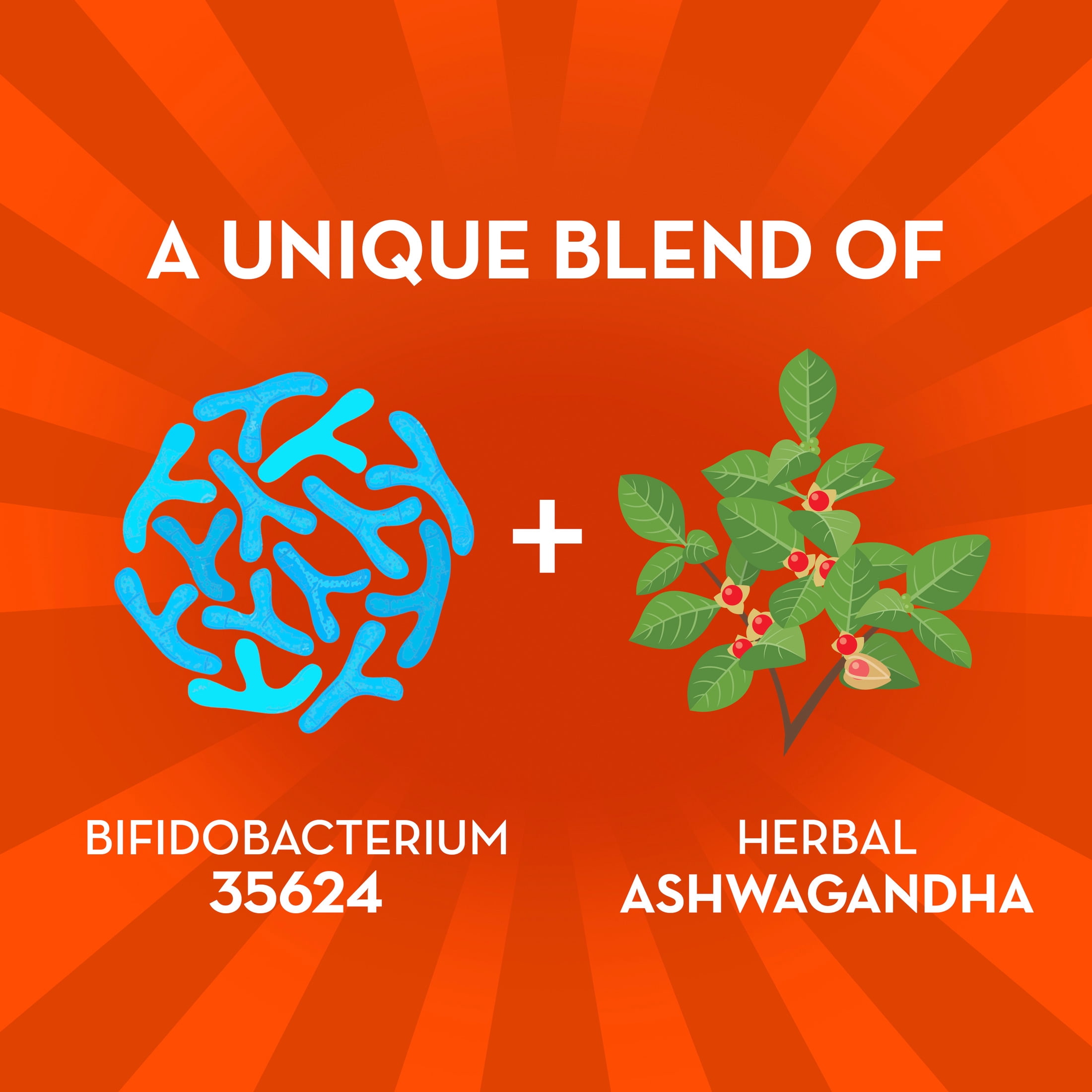 Align Probiotic, Gut Health + Stress Support with Ashwagandha, 21 Capsules