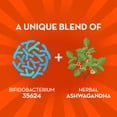 thumbnail image 3 of Align Probiotic, Gut Health + Stress Support with Ashwagandha, 21 Capsules, 3 of 11