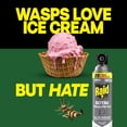 thumbnail image 6 of Raid Defend Outdoor Defense System Wasp and Hornet Bug Spray, Insect Killer, 17.5 oz, 6 of 15