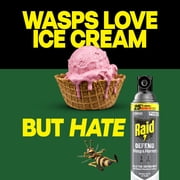 Raid Defend Outdoor Defense System Wasp and Hornet Bug Spray Outdoor Insect Killer, 17.5 oz.