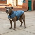 thumbnail image 5 of FurHaven Pet Coat | Water-Repellent Reversible Reflective Puffer Dog Coat, Blue Watercolor, Medium, 5 of 12