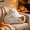 Ghost Walking Dogs style, variant on 4th of July Decorations Pillow, Red White Blue Decorations for Patriotic, Soft Independence Day Accent Pillow for Sofa Couch Porch Bedroom Livingroom