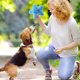 thumbnail image 5 of Juguete Interactivo Para Perros Con Forma De Estrella Que Chirría, Para Gatos, Suave Para Perros, Adiestramiento De Cachorros, 5 of 5