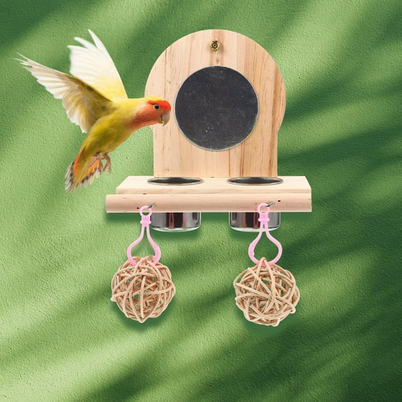 Baluue Back to Feeder Stand Parrot Feeder Perch Acrylic 1Pack