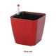thumbnail image 5 of Maceta para plantas de riego automático Billuyoard vino rojo 14*13*10.5, 5 of 6