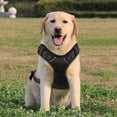 thumbnail image 4 of No-pull Dog Harness Padded Adjustable Pet Vest Harness Clip Harness, 4 of 4